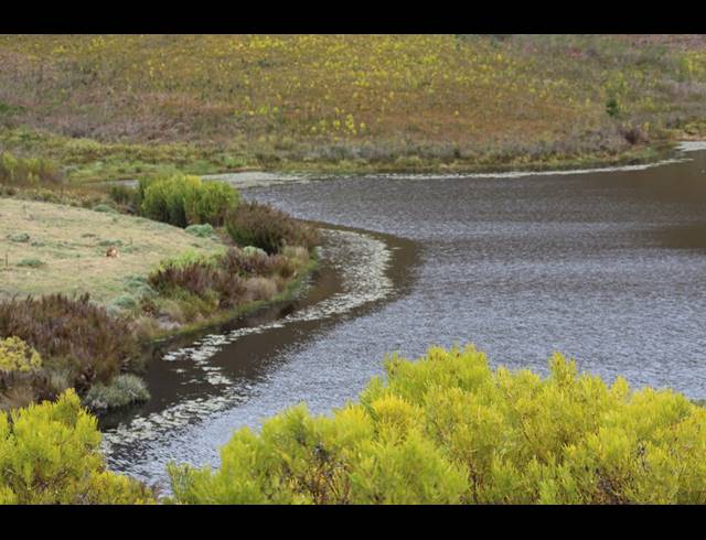 911HA FARM FOR SALE IN RIVERSDALE RURAL
